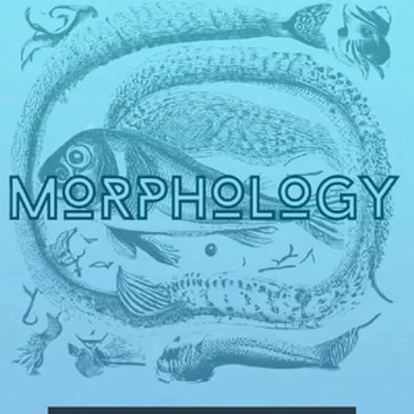 MORPHOLOGY to Make New England Premiere at Boston Playwrights Theatre Photo