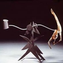 Five Artists Explore The Hidden Beauty of Movement in Everyday Things