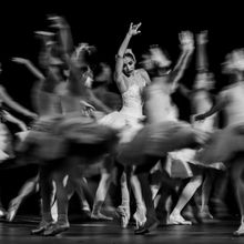 Review/Photos: SWAN LAKE at Academy Of Music