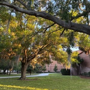 Student Blog: Booked and Busy: How I Manage My Schedule