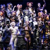 BWW Previews: CATS IS A 'PURR-FECT' SHOW FOR THE HOLIDAYS at Straz Center
