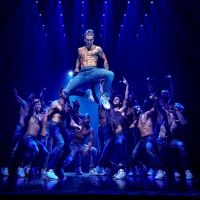MAGIC MIKE LIVE Australian Tour Cancelled