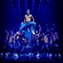 MAGIC MIKE LIVE Australian Tour Cancelled