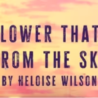 THE FLOWER THAT FELL FROM THE SKY Will Be Presented By Feet First Collective and…