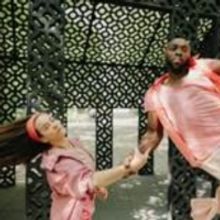 Hyde Park Art Center and The Seldoms Announce Free Public Programming For Collaborati