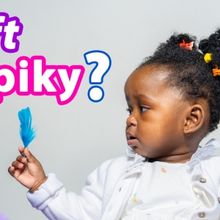 New Show For Babies SOFT OR SPIKY? Premieres at the Polka Theatre in October