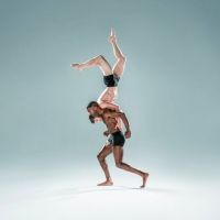 Columns Dance Festival To Feature Pilobolus, Sonia Plumb Dance Company, and More