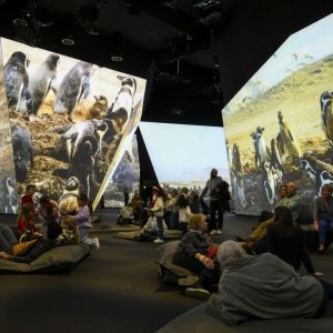 BBC EARTH EXPERIENCE Extends in London and Will Open in Melbourne