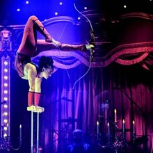 Tickets Now On Sale For Circus Arts Conservatory's 2023-2024 Season