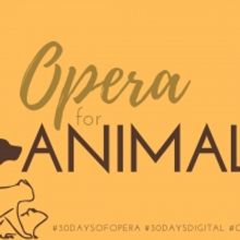 Opera Memphis Continues Online 30 DAYS OF OPERA Series With OPERA FOR ANIMALS