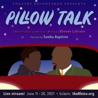 Theatre Rhinoceros Presents PILLOW TALK