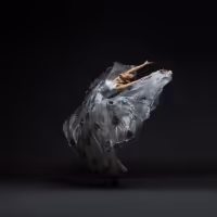 Nai-Ni Chen Dance Company Celebrates The Lunar New Year: Year Of The Black Water…
