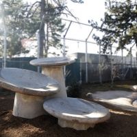 Denver Public Art Presents Newest Addition 'On The Rise' At Denver Zoo