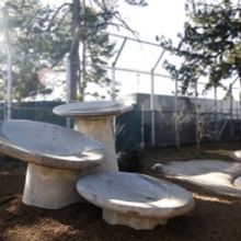 Denver Public Art Presents Newest Addition 'On The Rise' At Denver Zoo