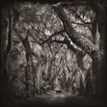 Palm Beach Photographic Centre to Host FOTOFUSION 2021