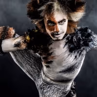 CATS To Play Morrison Center Beginning 10/29