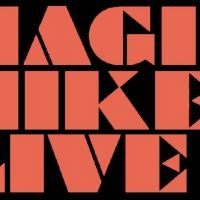 FINDING MAGIC MIKE Finalists Johnny Dutch And Nate Bryan Join Cast Of MAGIC MIKE LIVE
