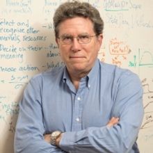 Caltech Continues the 2020–2021 Watson Lectures with David J. Anderson, Seymour Ben