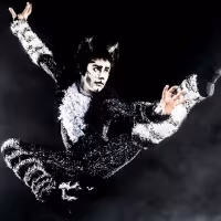 Tickets Now On Sale for CATS at Jacksonville's Times-Union Center for the Performing…