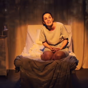 Review: MY NAME IS LUCY BARTON from How Now Brown Cow is on at the Baxter