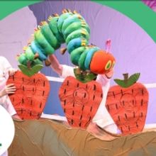 THE VERY HUNGRY CATERPILLAR Announced At The Herberger Theater Center