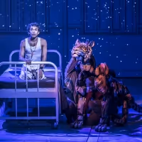 LIFE OF PI Will Make North American Premiere at A.R.T. in December