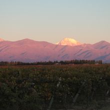 DOMAINE BOUSQUET for Superb Cabernet Wines