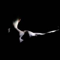 92Y to Present the HARKNESS DANCE FESTIVAL