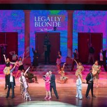 Could LEGALLY BLONDE THE MUSICAL Be Belmont University Musical Theatre's Best-Ever?
