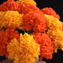 The Children's Museum Of Manhattan to Celebrate Día De Muertos