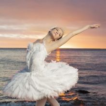 The National Ballet of Canada Cancels Remaining 2020/21 Season