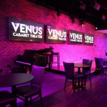 Venus Cabaret Theater To Open With THE DARK NIGHT Series