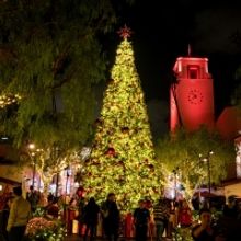 Union Station to Welcome Holiday Season With Music, Tree Lighting & More
