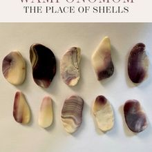 Teatro Paraguas Presents A Portry Reading With Alicia Elkort & Karen Petersen