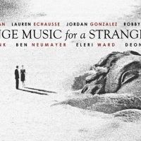 Chris Rayis' STRANGE MUSIC FOR A STRANGE TIME to perform at 244 Studios!