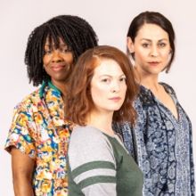 MARY JANE Will Run at Meadow Brook Theatre in March