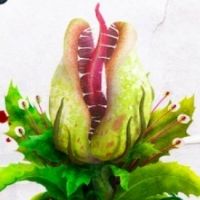 BWW Album Review: LITTLE SHOP OF HORRORS (The New Off-Broadway Cast Album) Delivers Everything Your Secret, Greasy Heart Desires