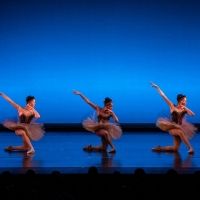 33rd Annual International Conference and Festival of Blacks in Dance Lineup Announced