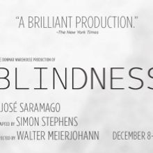 Shakespeare Theatre Company Welcomes Back Patrons To Sidney Harman Hall With BLINDNES