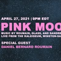 Eleonor Sandresky's Lunar Landscapes Presents PINK MOON