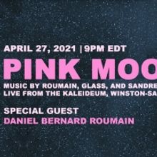 Eleonor Sandresky's Lunar Landscapes Presents PINK MOON