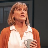 Chicago Premiere of TINY BEAUTIFUL THINGS Extends