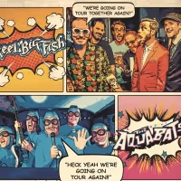 Reel Big Fish And The Aquabats Come To Boulder Theater