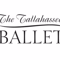 Florida Arts Organizations Grapple With Budget Cuts After State Denies $1.5 Million in Funding