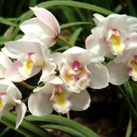 MOTHER'S DAY GIFTING-Don't Miss Out on These