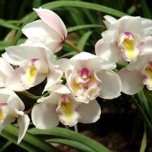 MOTHER'S DAY GIFTING-Don't Miss Out on These