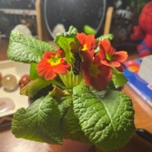 Student Blog: Out-Let Yourself Go