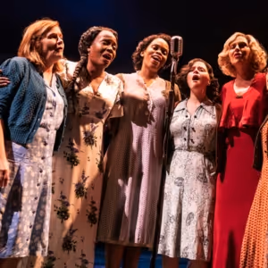 GIRL FROM THE NORTH COUNTRY Recording Sets PBS Premiere
