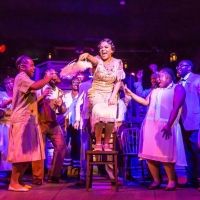 THE COLOR PURPLE is Now Playing at Roxy's Downtown