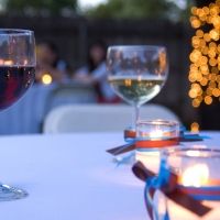 Wines to Celebrate NATIONAL DRINK WINE DAY on Friday 2/18